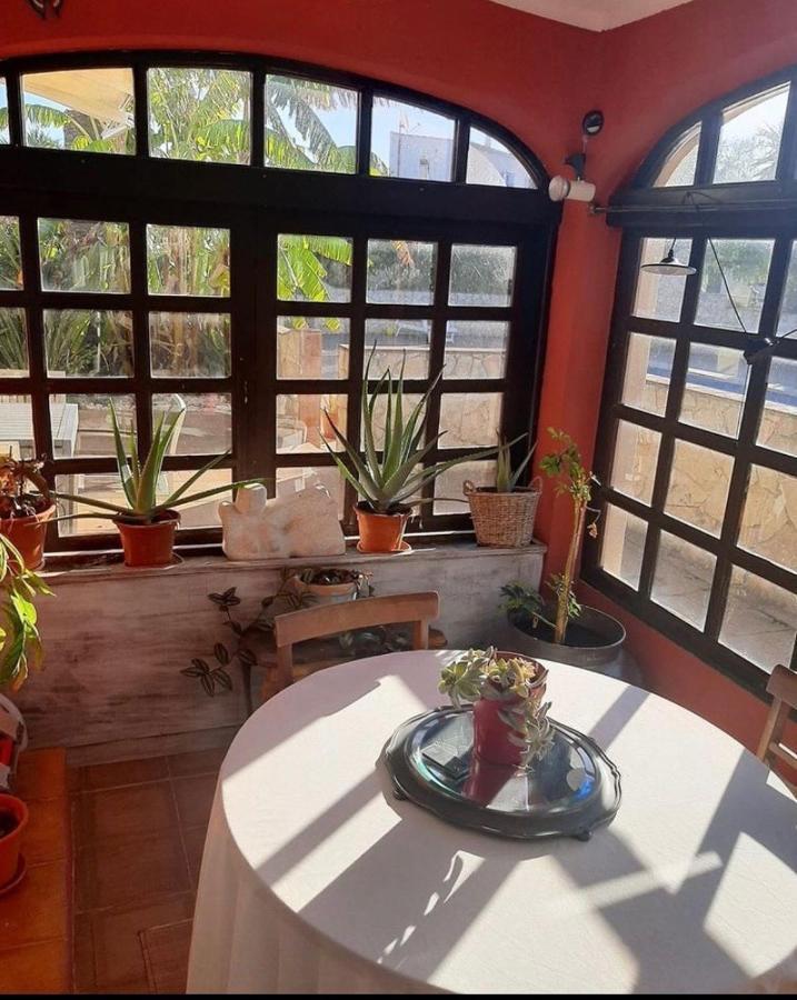 Cama Da Vaca Villa *